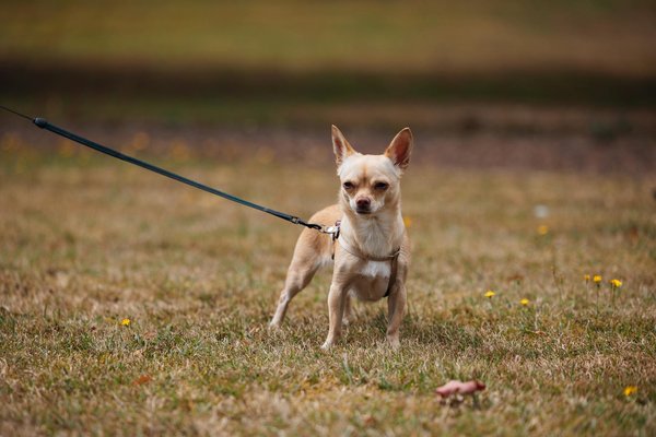 Guide complet pour choisir le meilleur casino en ligne et profiter de chaque bonus