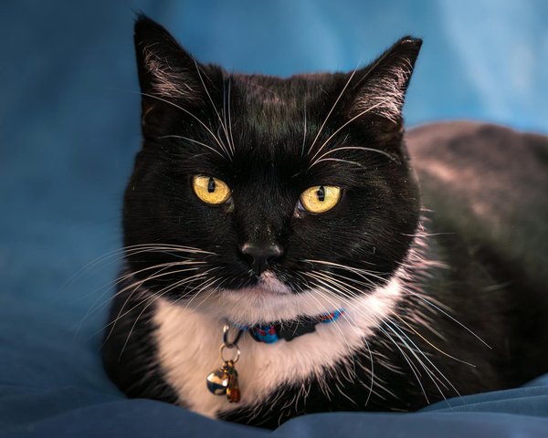 Mastering Event‑Driven Casino Play at **Slots Charmcasino 1**